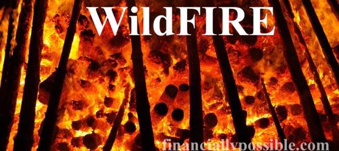 WildFIRE