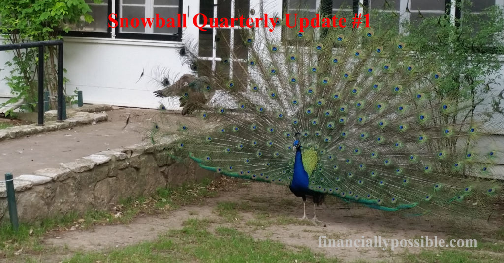 What does a peacock have to do with net worth?